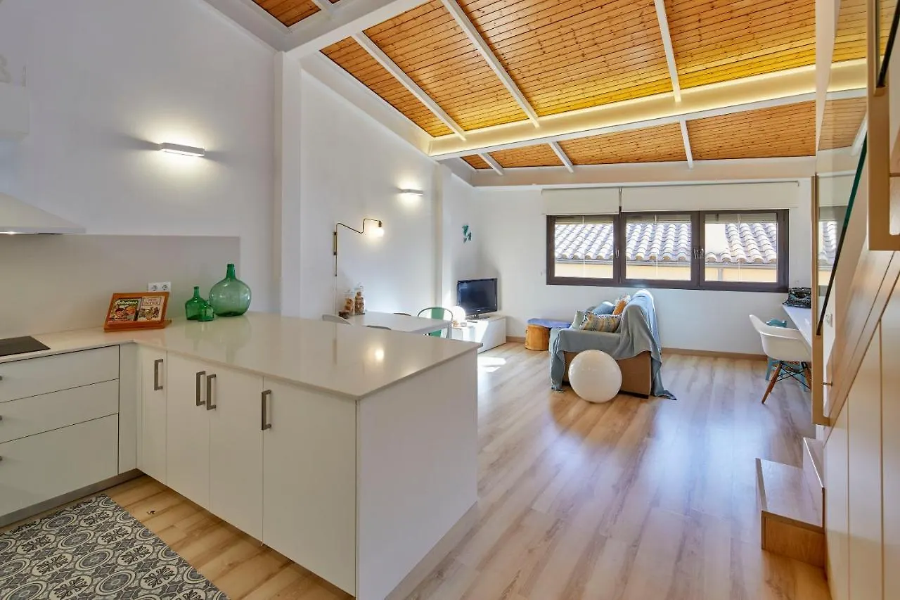 Apartamento dúplex Rei Martí Gerona 0*,