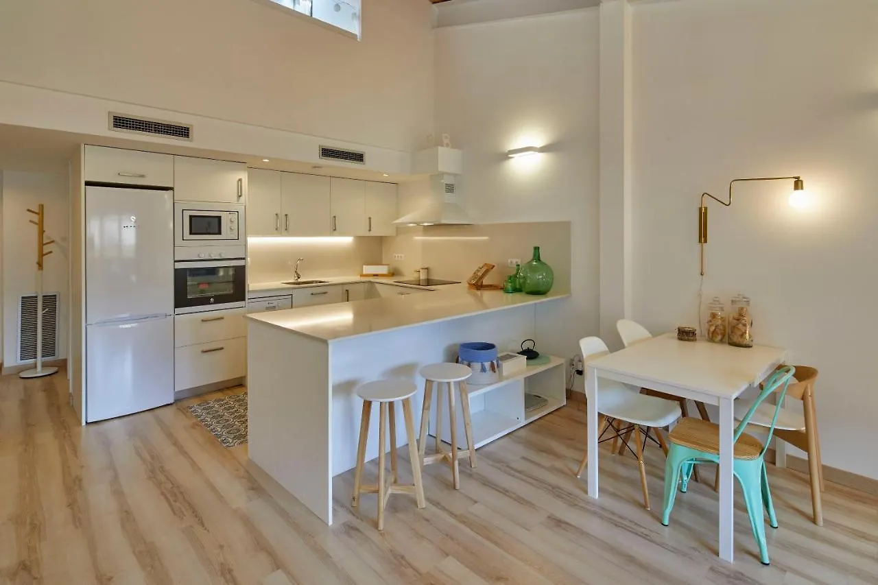 Apartamento Duplex Rei Marti 赫罗纳 西班牙